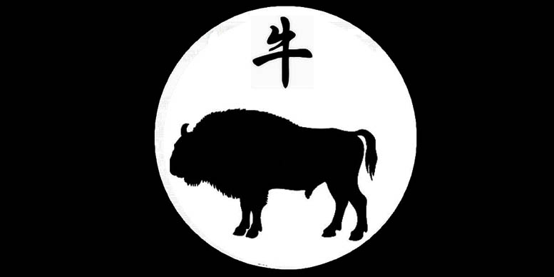 bivol zodiac chinezesc